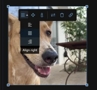1727994409933.webp