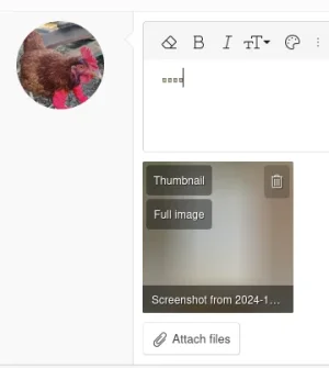 Screenshot from 2024-10-16 09-14-05.webp