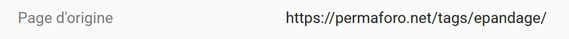 1729719869482.webp