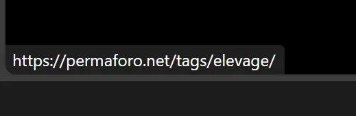 1729720011378.webp