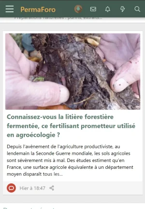 Capture d'écran 2024-10-31 195546.webp