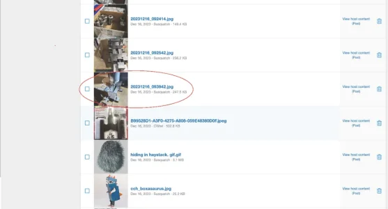 Screenshot 2024-11-04 at 3.43.53 PM.webp