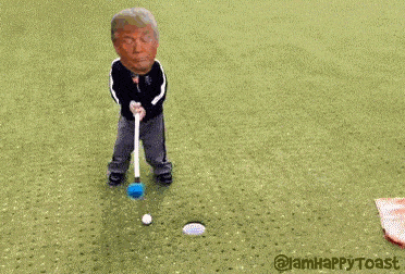 1731255942628.gif