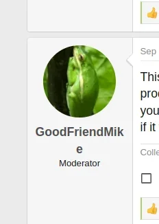 gfm.webp