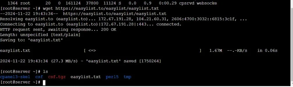 wt1.webp