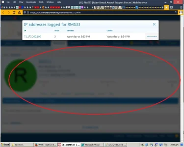 12-2-24 Blurred IP Addresses (1).webp