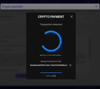 payment-awaiting-confirmation.webp