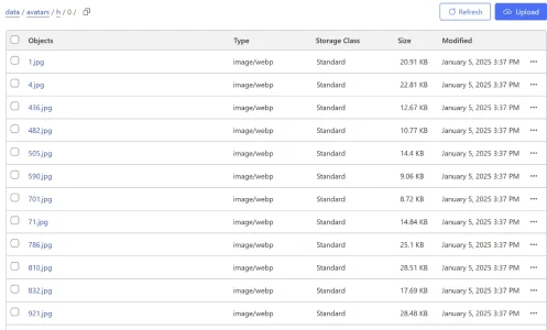 Screenshot 2025-01-06 062104.webp