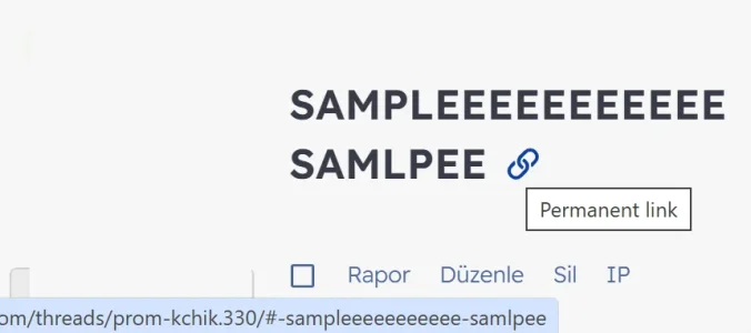 1737021110864.webp