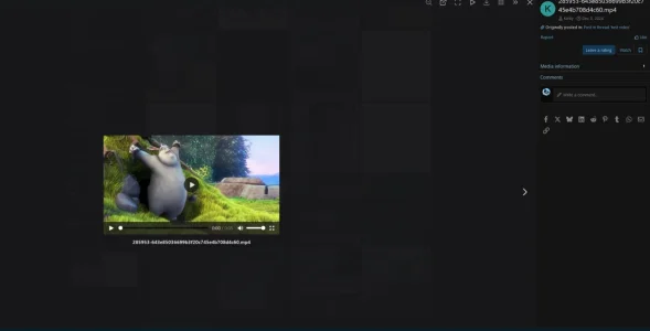 Screenshot 2025-01-29 231734.webp