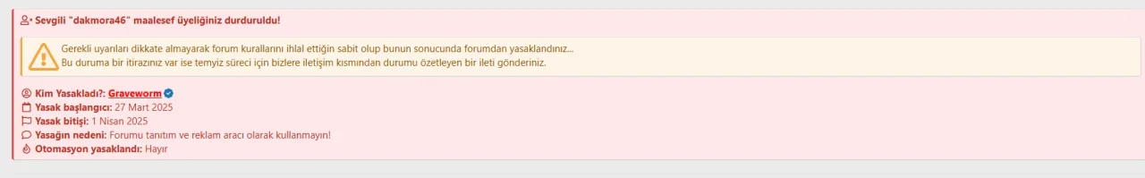 1743190303802.webp