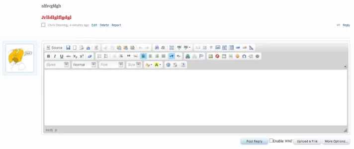 CKEditor.webp