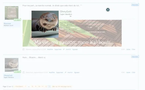 Capture.webp