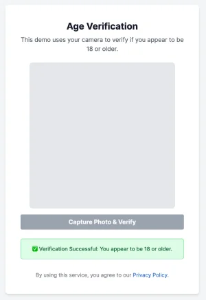 cf-age-verification-mvp-demo-v2-3.webp