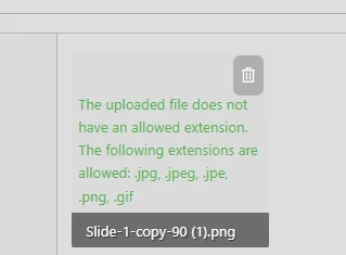 1745621653769.webp