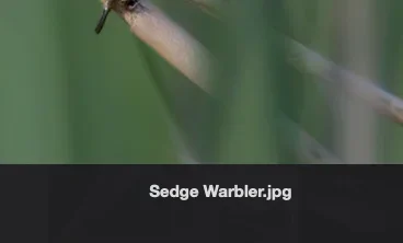 Scherm­afbeelding 2025-05-04 om 22.24.00.webp
