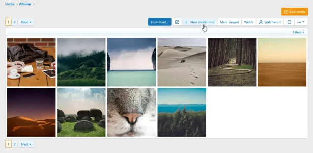 album_view_grid.webp