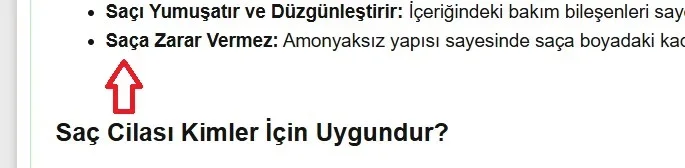 Ekran görüntüsü 2025-05-22 134715.webp Ekran görüntüsü 2025-05-22 134715.webp