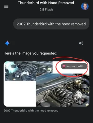 Screenshot_20250617_192547_Google.webp