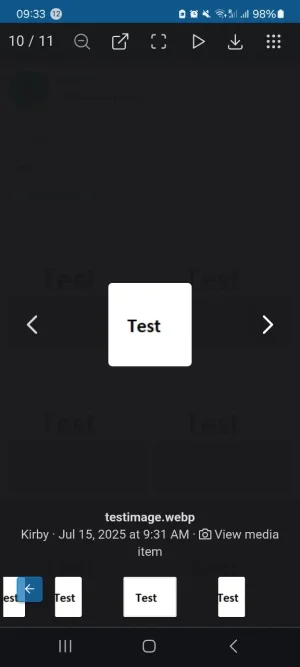 Screenshot_20250715_093343_Chrome.webp