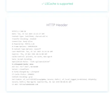Screenshot 2025-07-15 at 16-22-56 LSCache Check - altboards.com.webp