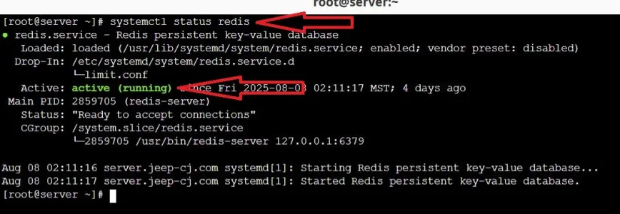 red2.webp
