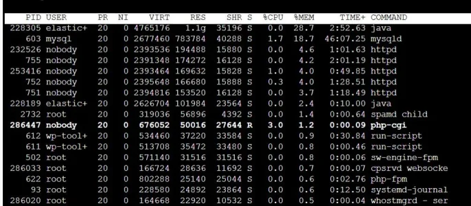 es1.webp