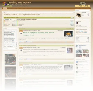 Canine Chat Forum • The Dog Lover s Community.webp