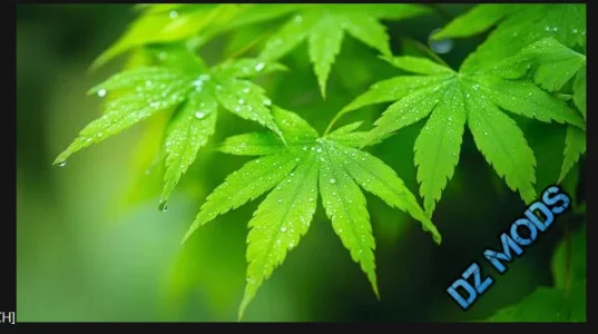 Snimka zaslona 2026-02-02 144229.webp