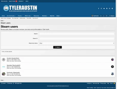 Steam users page.webp
