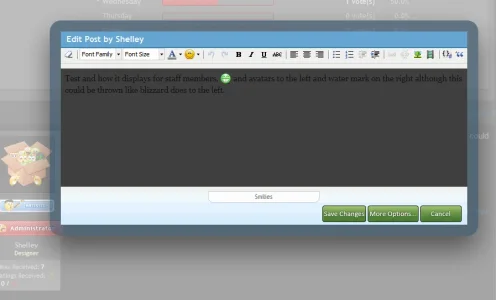 edit-overlay-fixed.webp