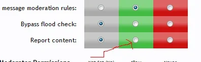 report.webp