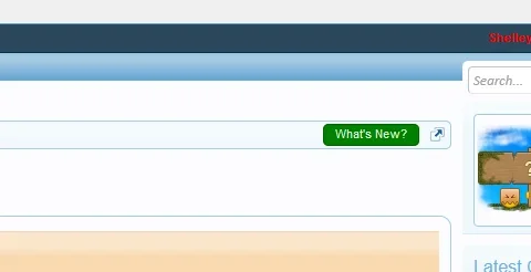 breadnew.webp