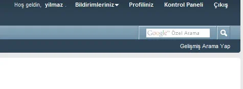 vb4-navbarda-google-arama.webp