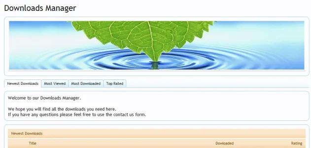 banneradssystem.webp