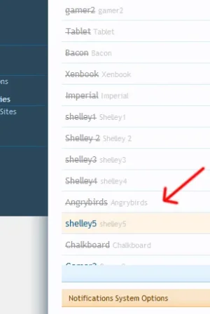 angrybird_notification.webp