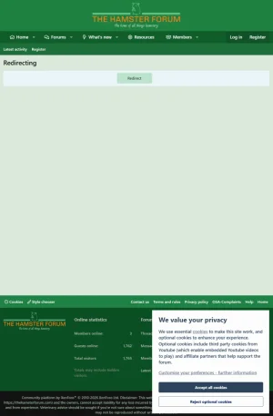 1783715675693.webp