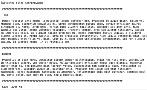 export-dm-txt2.webp