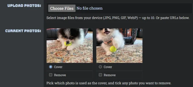 Screenshot 2026-08-17 195405.webp