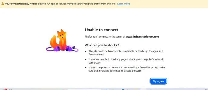 Error page.webp Error page.webp