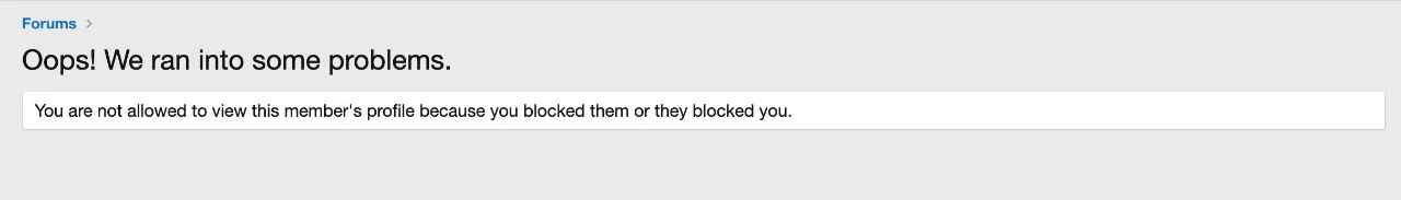 user-blocking-system-view-profile.webp