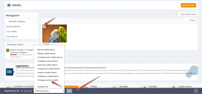 media-inline-mod.webp