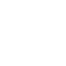 icon-badge-96.webp