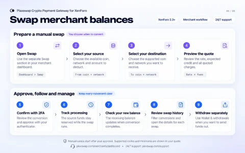 06-manual-wallet-swap-workflow.webp