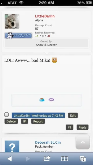 photo3.webp