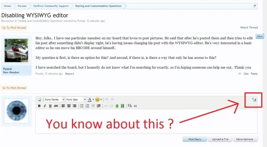 switch.from.WYSIWYG.to.bbcode.editor.webp