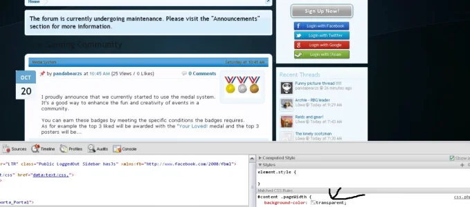 transperant.webp