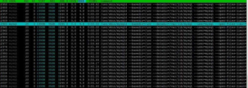 mysql.webp