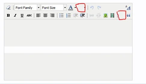 WYSIWYG.webp