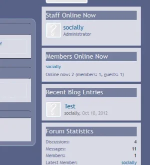 www.sociallyuncensored.net 2012-11-14.webp